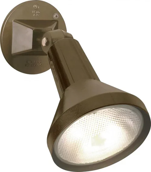 1 Light – 8” Flood Light PAR38 with Adjustable Swivel – Dark Bronze Finish (81|SF77/494)
