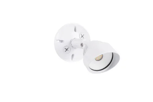 1 Light Outdoor LED Flood in White (20|Z421-W-LED)