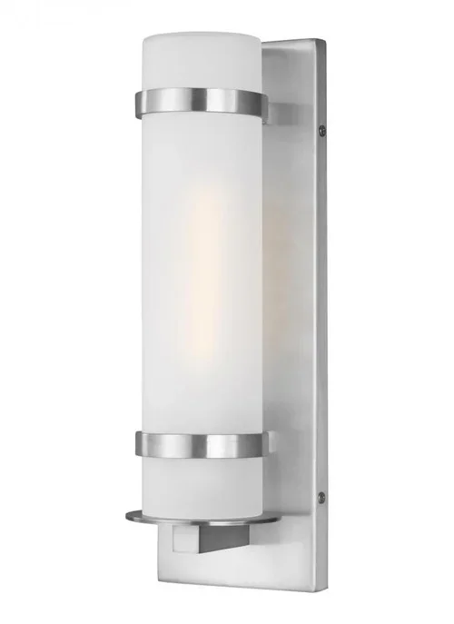 Alban Small One Light Outdoor Wall Lantern (38|8518301-04)