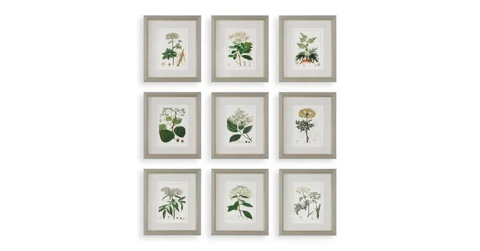 Antique Botanicals Framed Prints, S/9