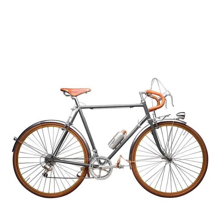 Audace Bicycle