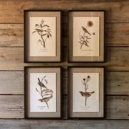 Bird and Botanical Print Set of 4