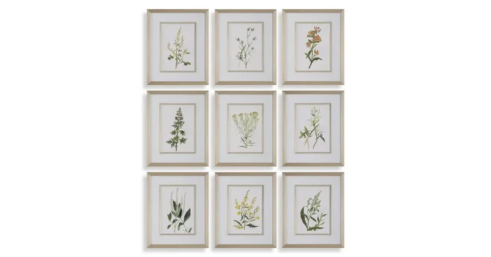 Botanical Flowers Framed Prints, S/9