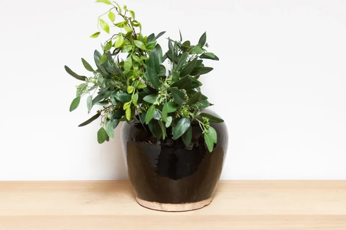 Brown Glaze Martaban Pot-Mandalay (Trade)