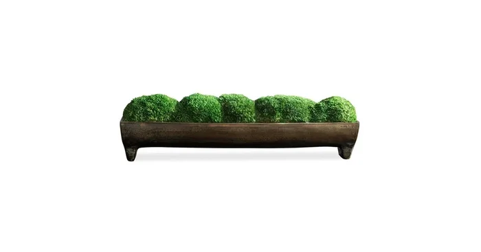 Canal Moss Centerpiece, Small