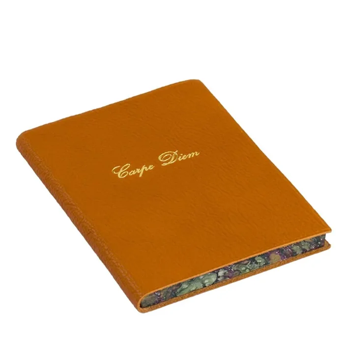 Carpe Diem Set of 2 Orange Journal