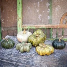 Decorative Gourd Pumpkins Set of 6
