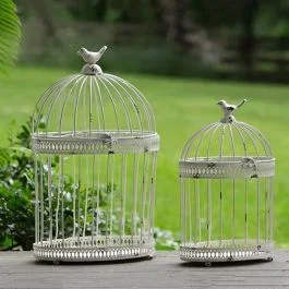 Decorative Metal Bird Cage Set of 2