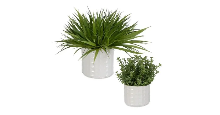 Edgewood Greenery, S/2