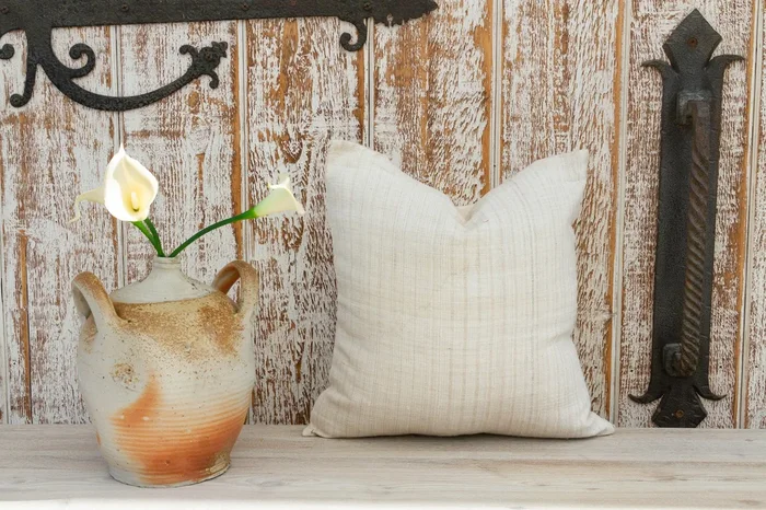 Fulki Organic Silk Pillow