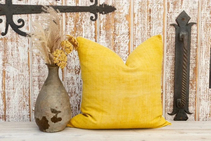 Ishani Organic Silk Pillow