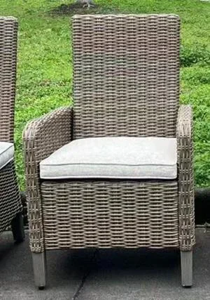 Laguna Heights Arm Chair With Cushion (set of 2)