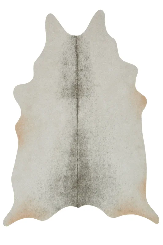 Loloi Grand Canyon GC-15 Area Rug