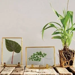 Metal Framed Photo Frame Set of 2