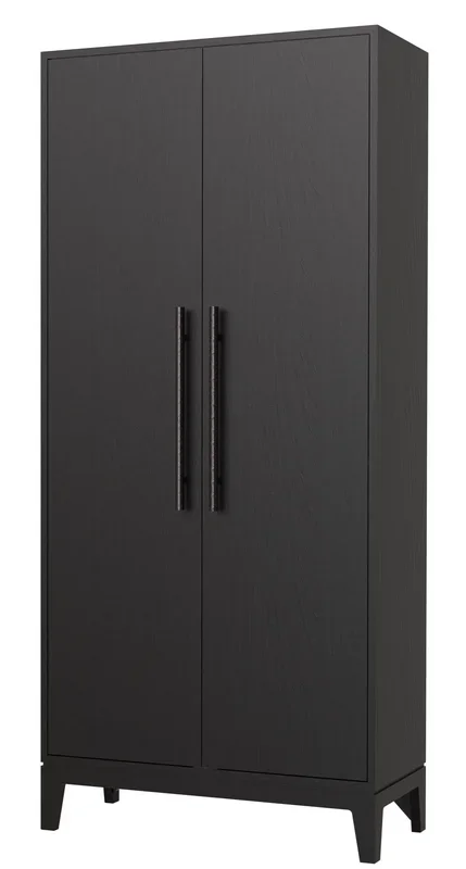 Millie Contemporary 2-Door Storage Cabinet