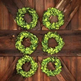 Mini All Natural Boxwood Wreath Set of 6
