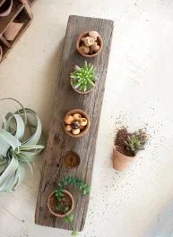 Mini Terra Cotta Planters In Wooden Base