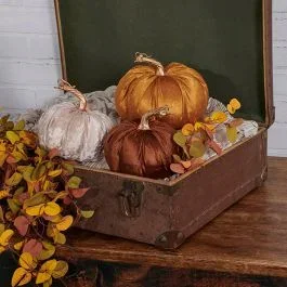 Multi Color Velvet Fall Pumpkin Set of 9