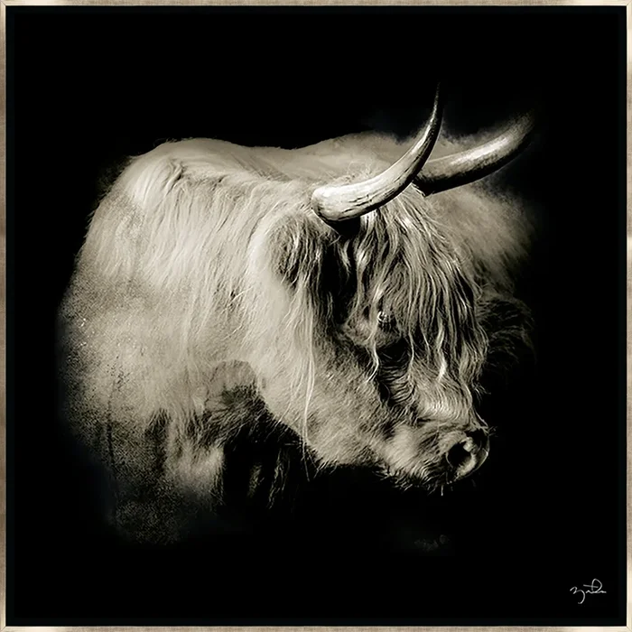 Nellie in Black by Brandon Luther – Southern Bit – 30″ x 30″ Framed