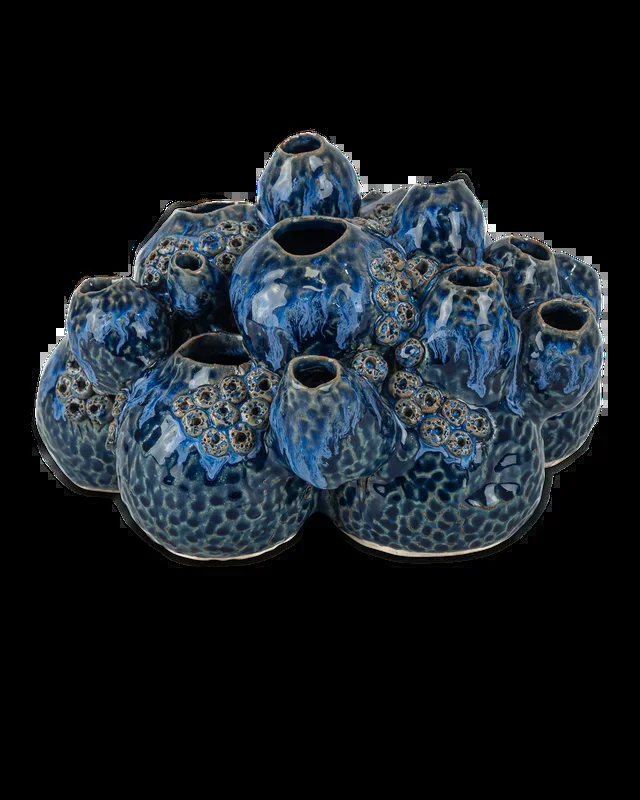 Sulawasi Blue Shells