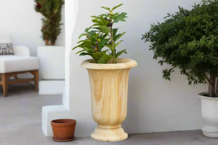 Tall Provincial Indo-French Stone Urn Planter