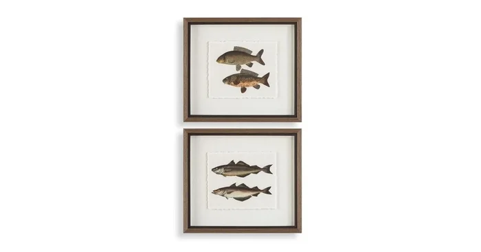 The Catch Framed Prints, S/2
