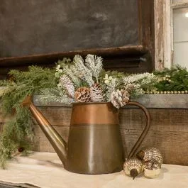 Wall Mount Decorative Watering Can