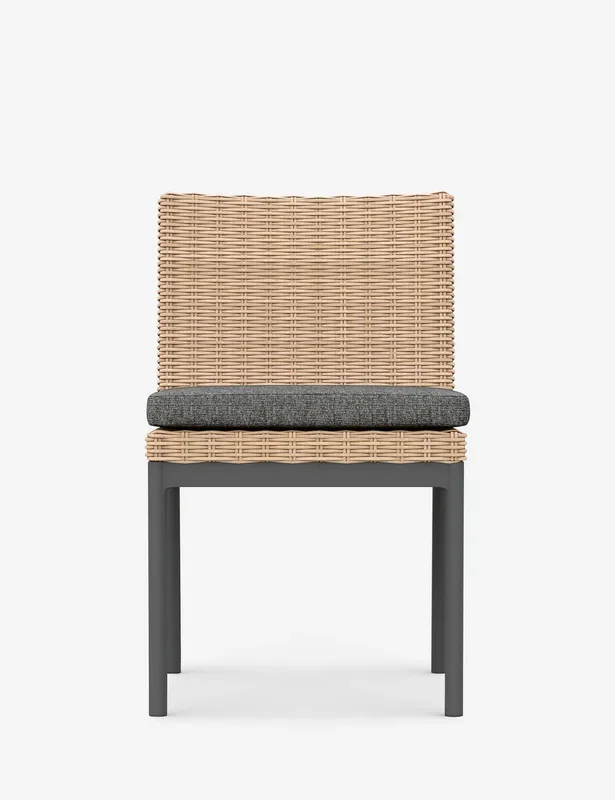 Walsh Indoor / Outdoor Dining Chair (Set of 2)